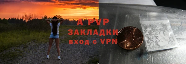 гашик Алексин