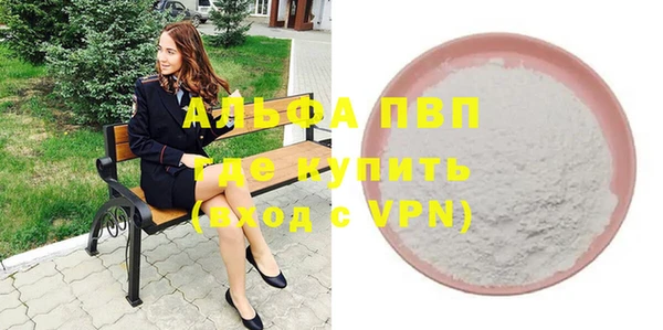 гашик Алексин