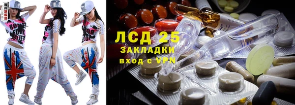 хмурый Алзамай