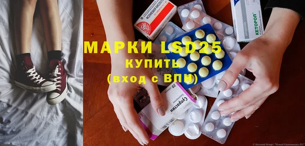 гашик Алексин