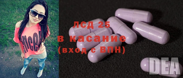 гашик Алексин