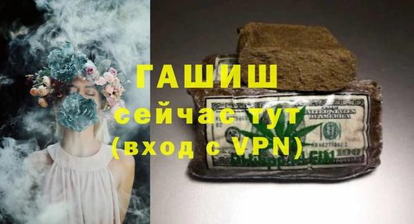 гашик Алексин