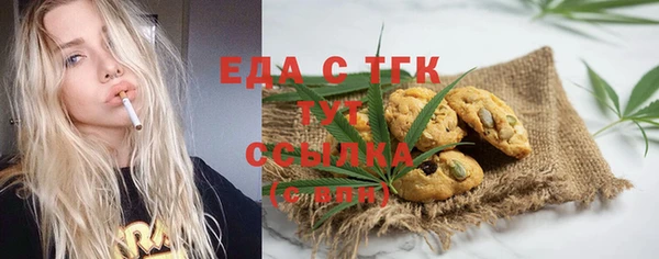 гашик Алексин