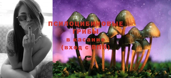 гидра Покровск